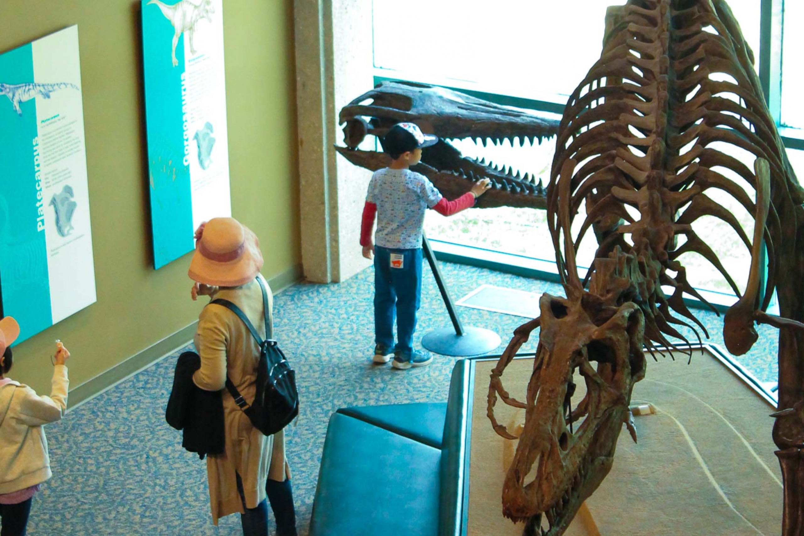 Dinosaur skeletons in the Cretaceous Menagerie.