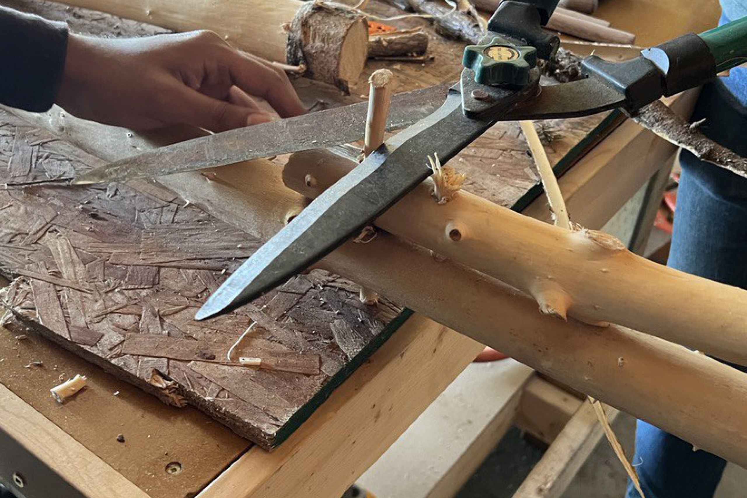 cutting wood to create a shelter