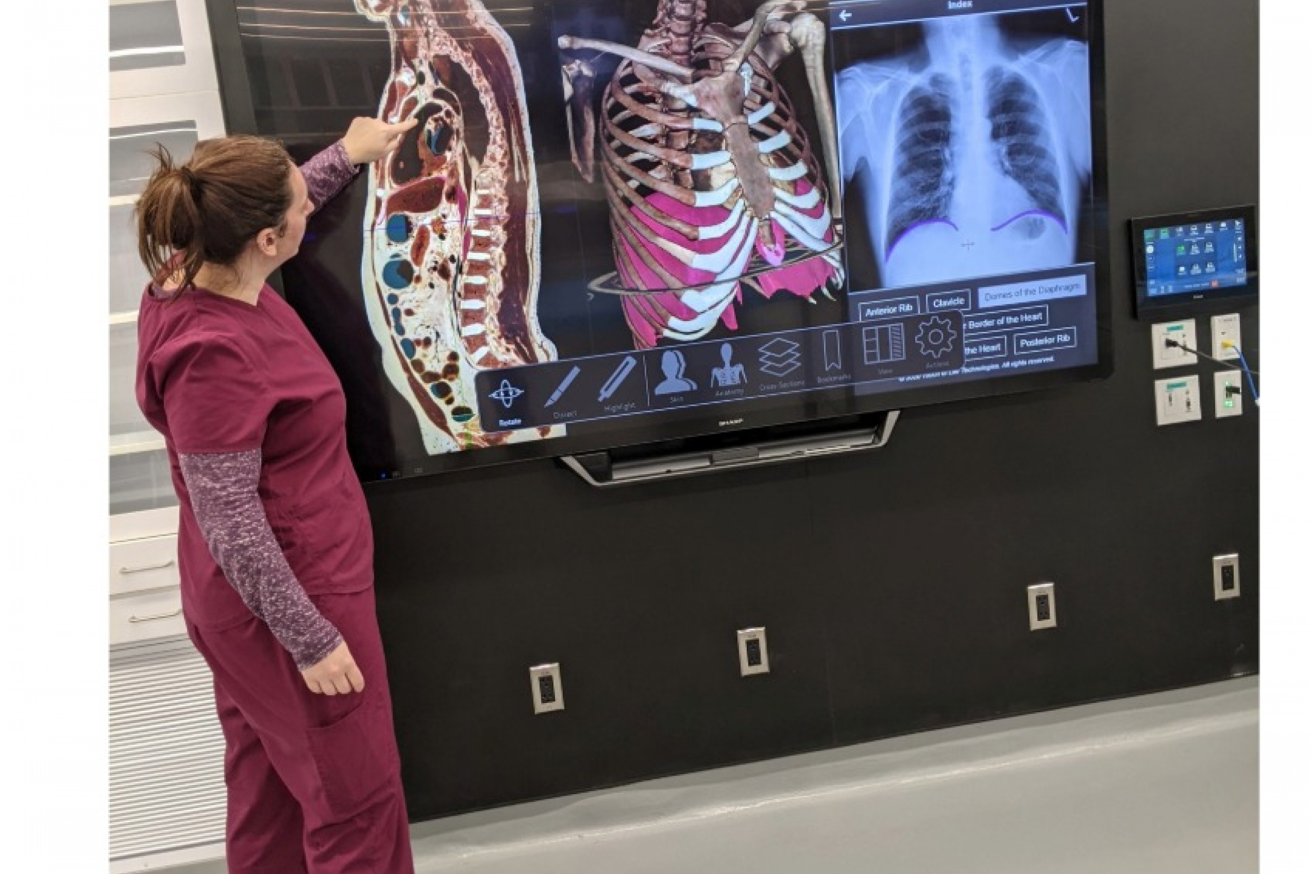 Alexa Hryniuk points at anatomy images on a screen.