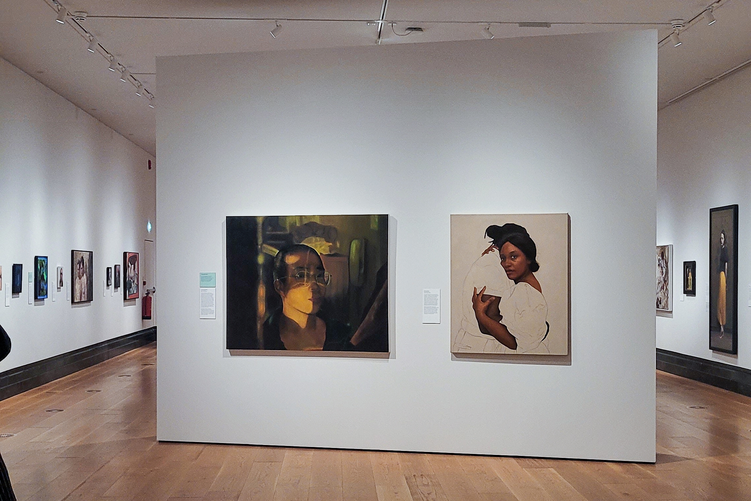 Joel Nichols' painting In Our Borderlands hangs on a gallery wall beside another portrait at the National Portrait Gallery.