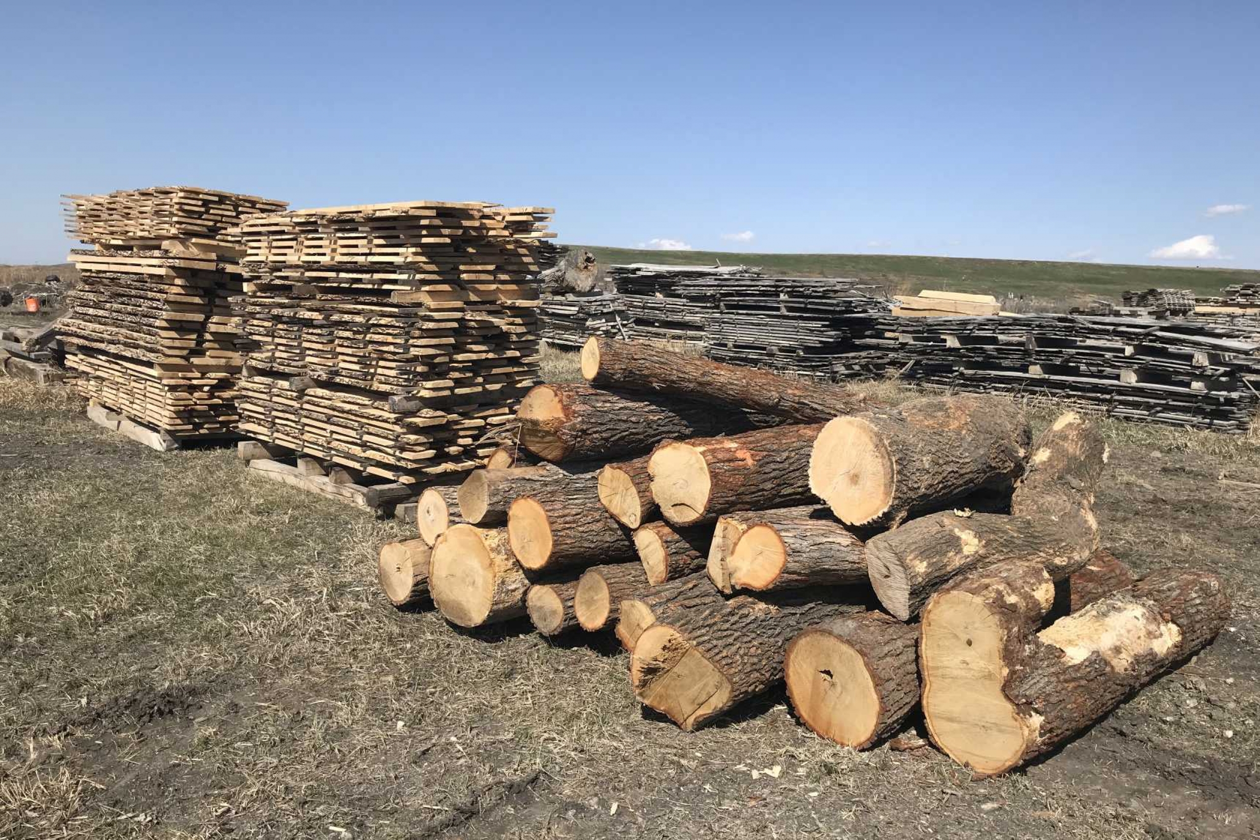 A stack of logs and boards in a field.