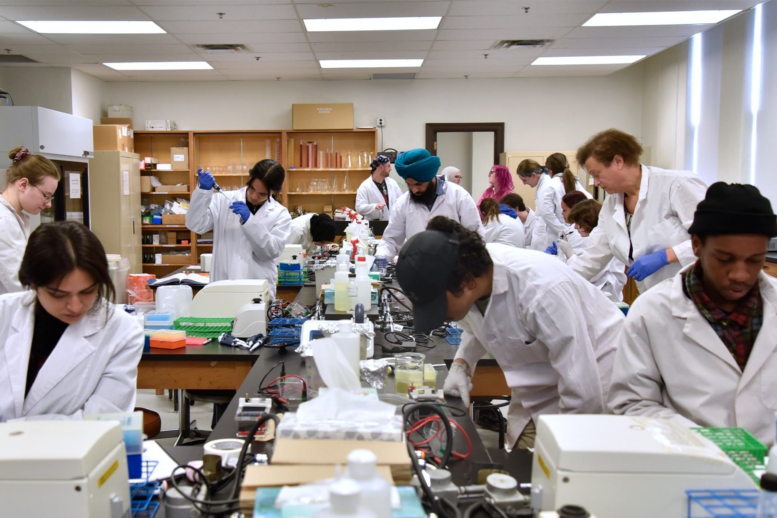 A wide shot of the students during the lab class in microbiology.