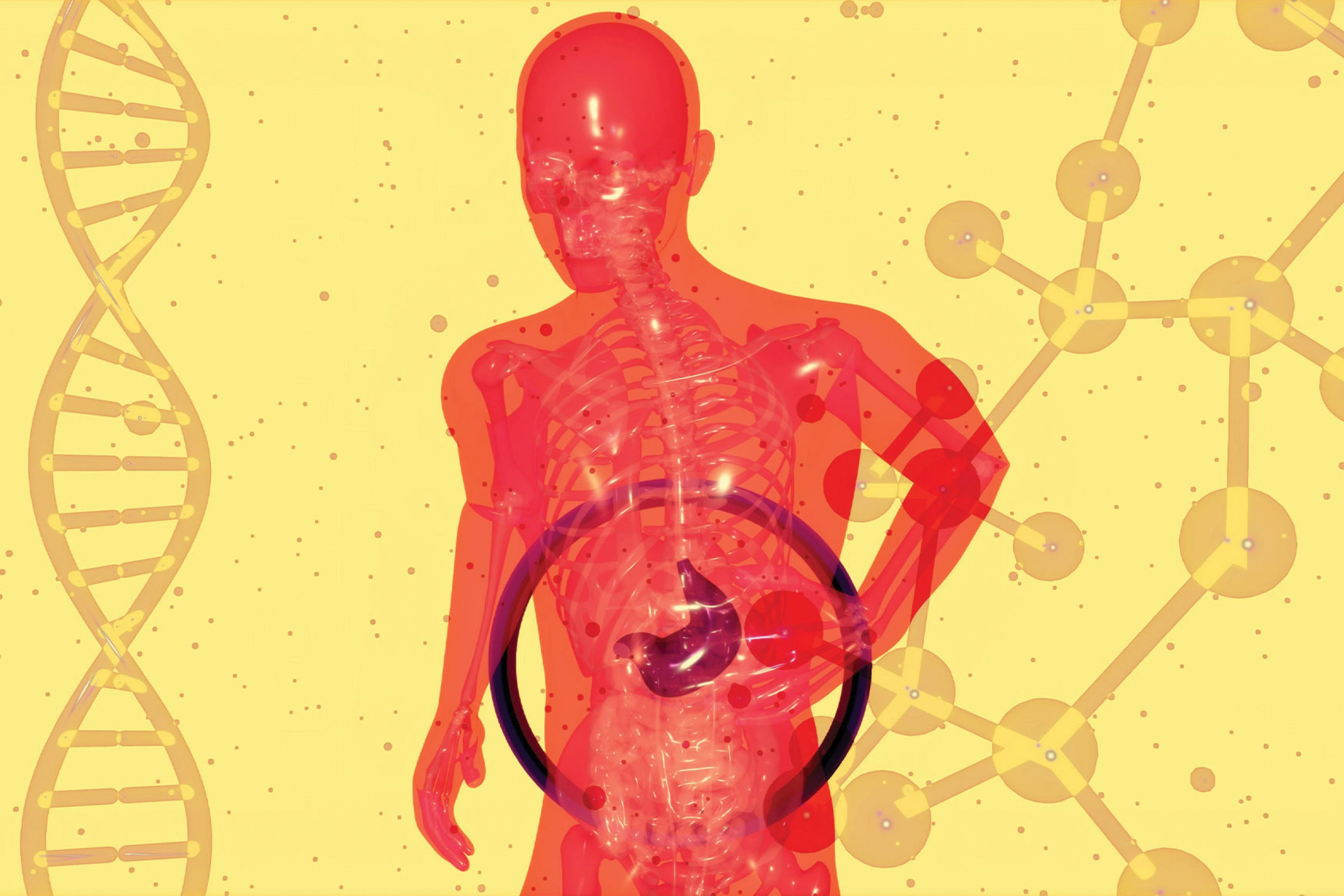 A stylized, translucent red human figure with a visible skeletal structure and a distinct dark purple stomach highlighted inside a circular frame in the abdominal region, flanked by a DNA strand on the left and molecular network graphics on the right against a yellow background from Unsplash.