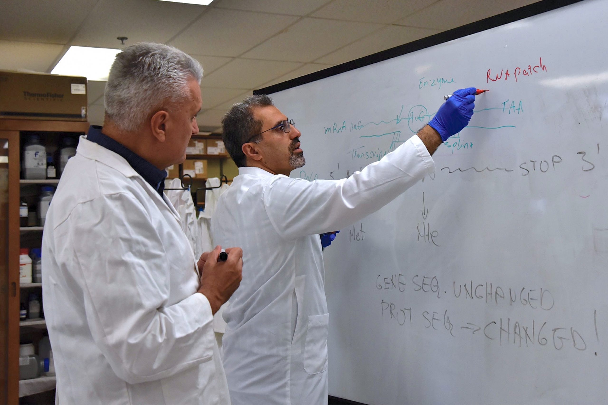Ned and Hamid discussing and writing on a white board.