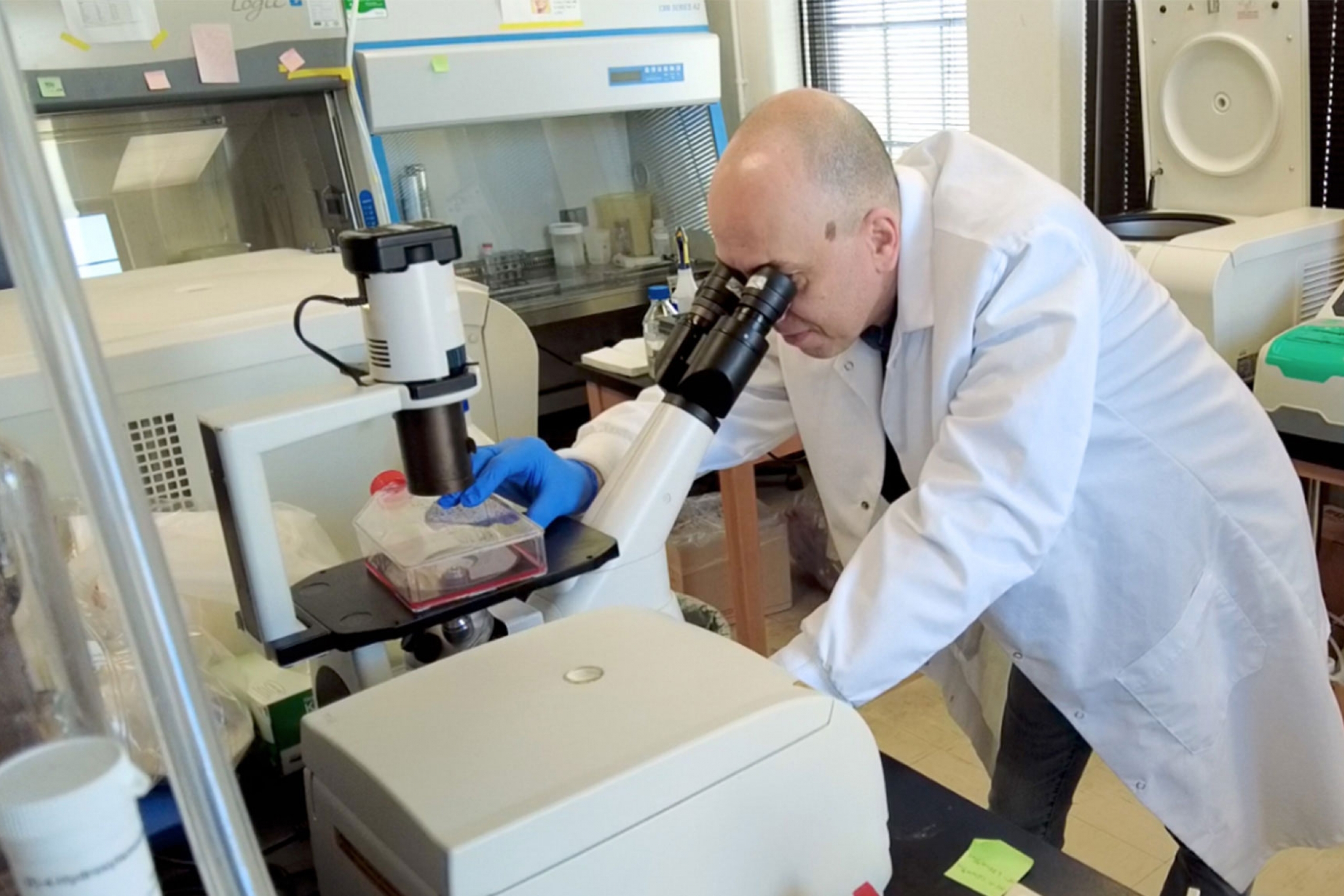 Peter Pelka looking through the microscope on his lab coat.