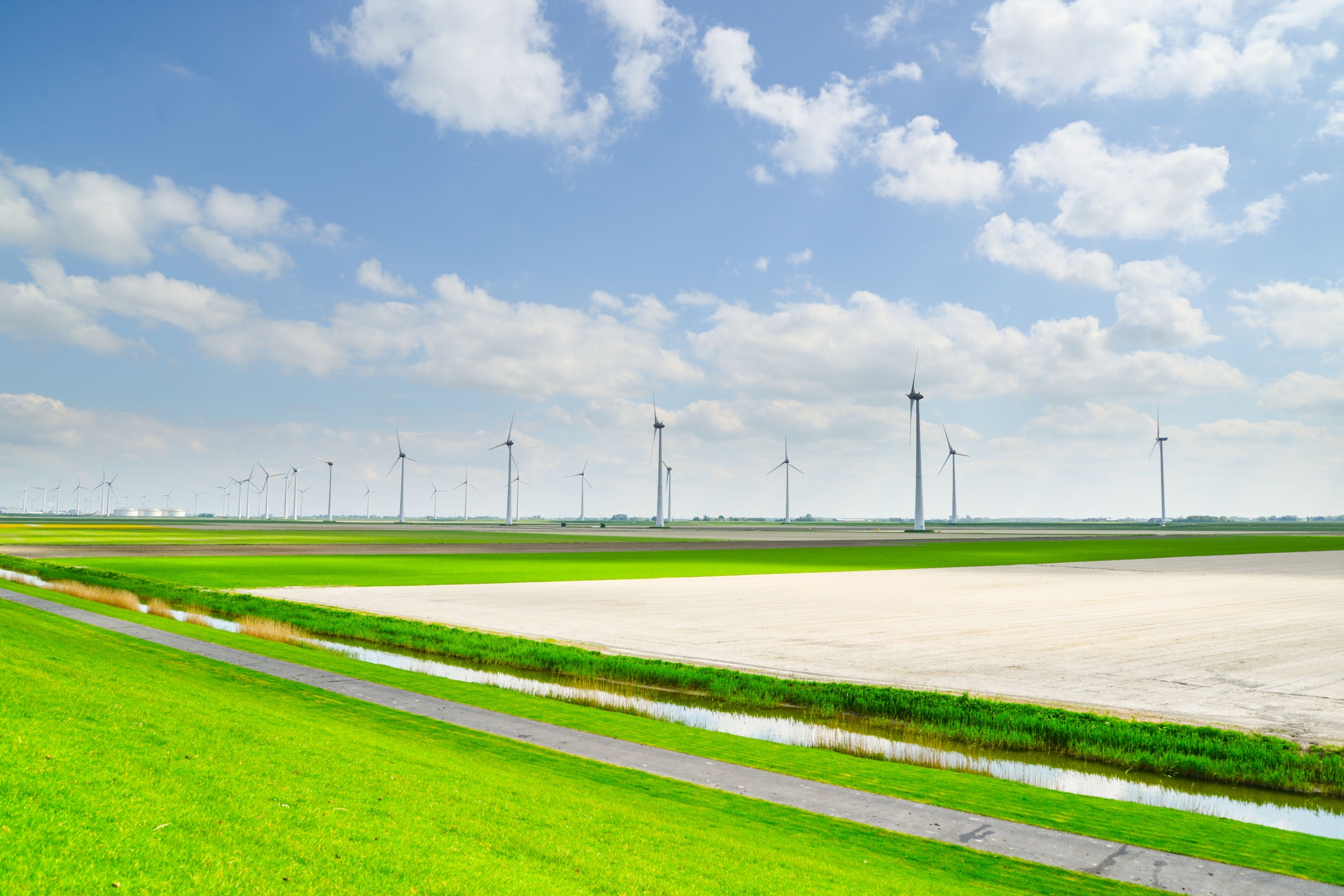 feild of triblade windmills on prairie feild