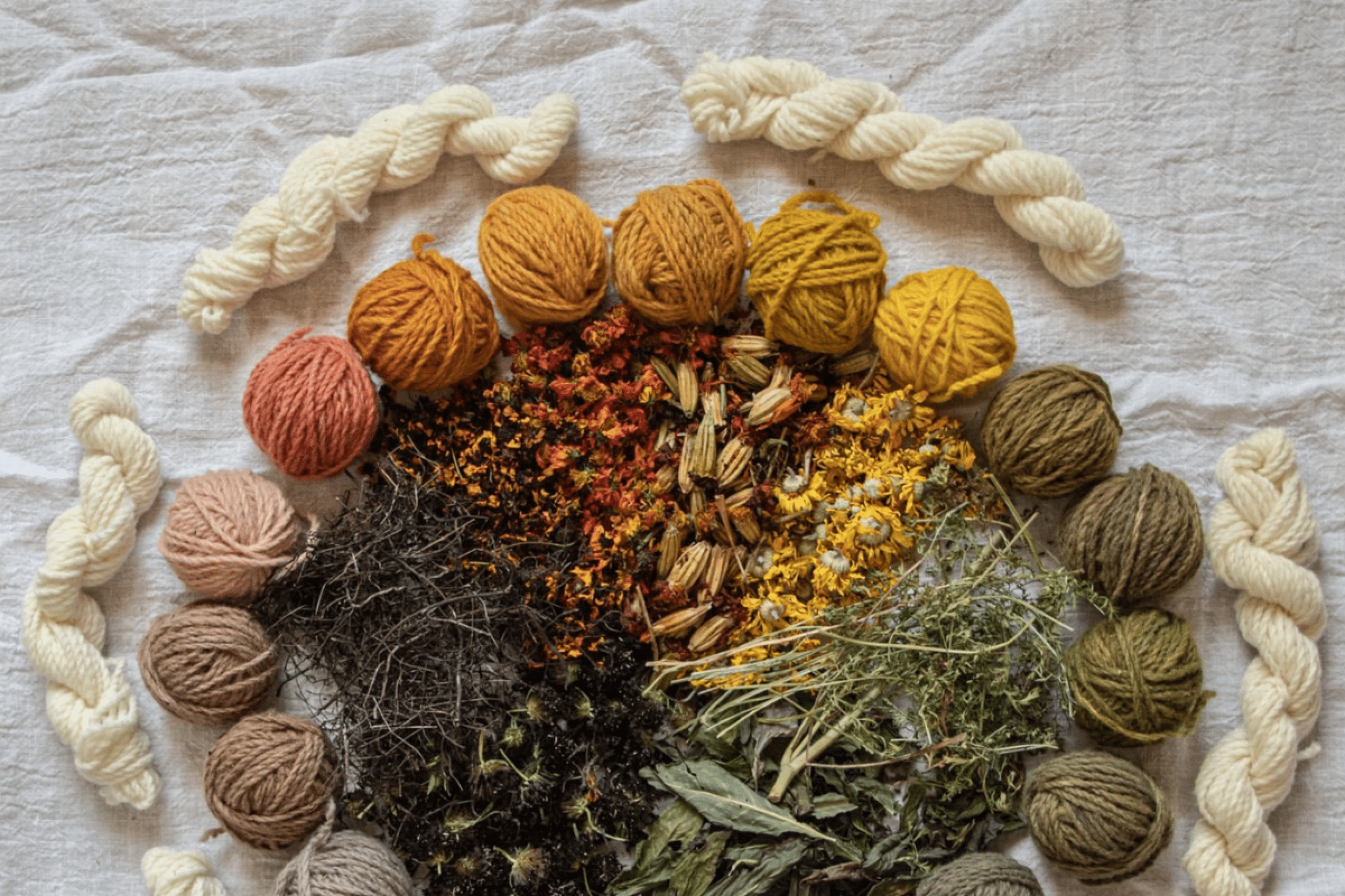 dried flowers and yard