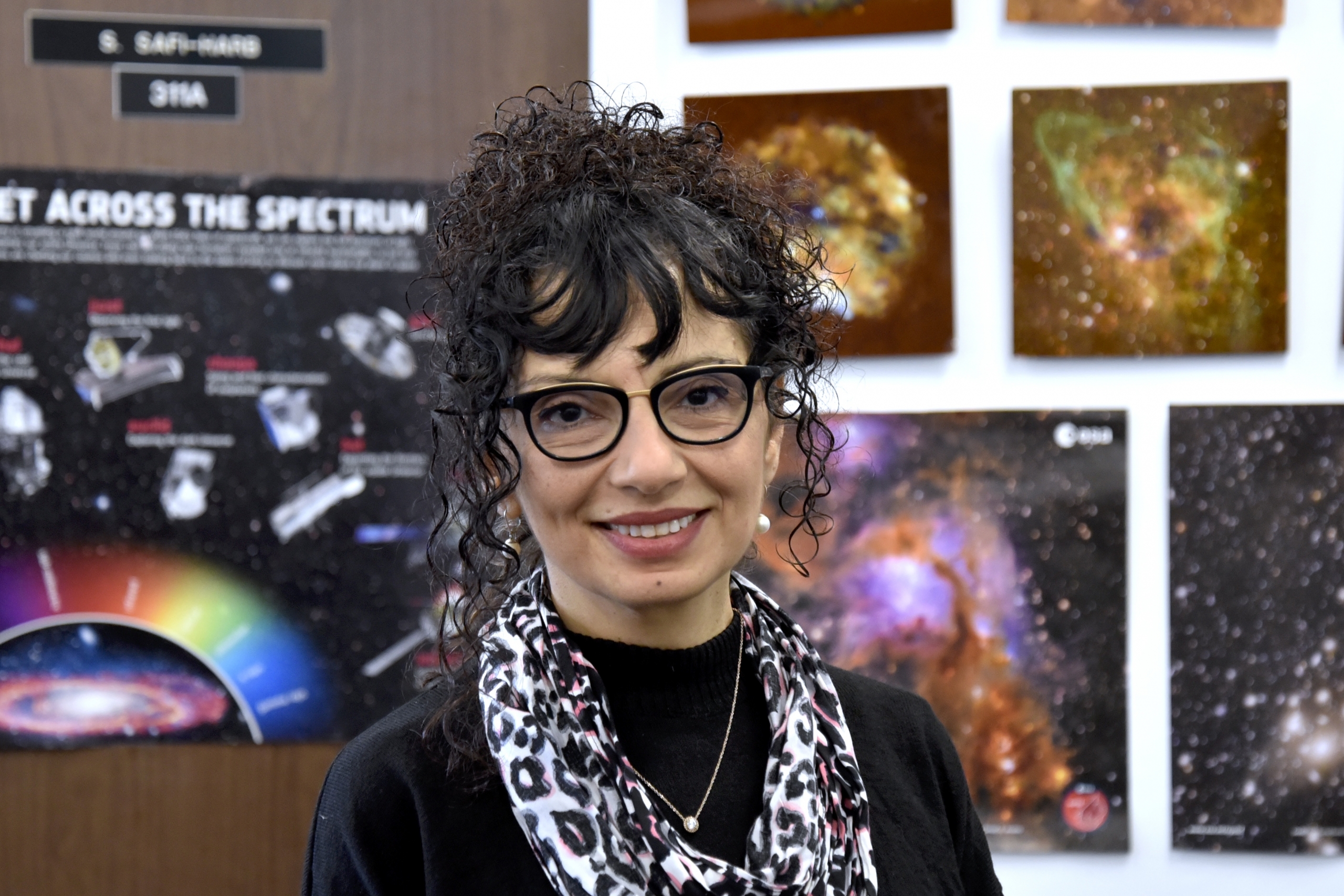 Samar Safi-Harb