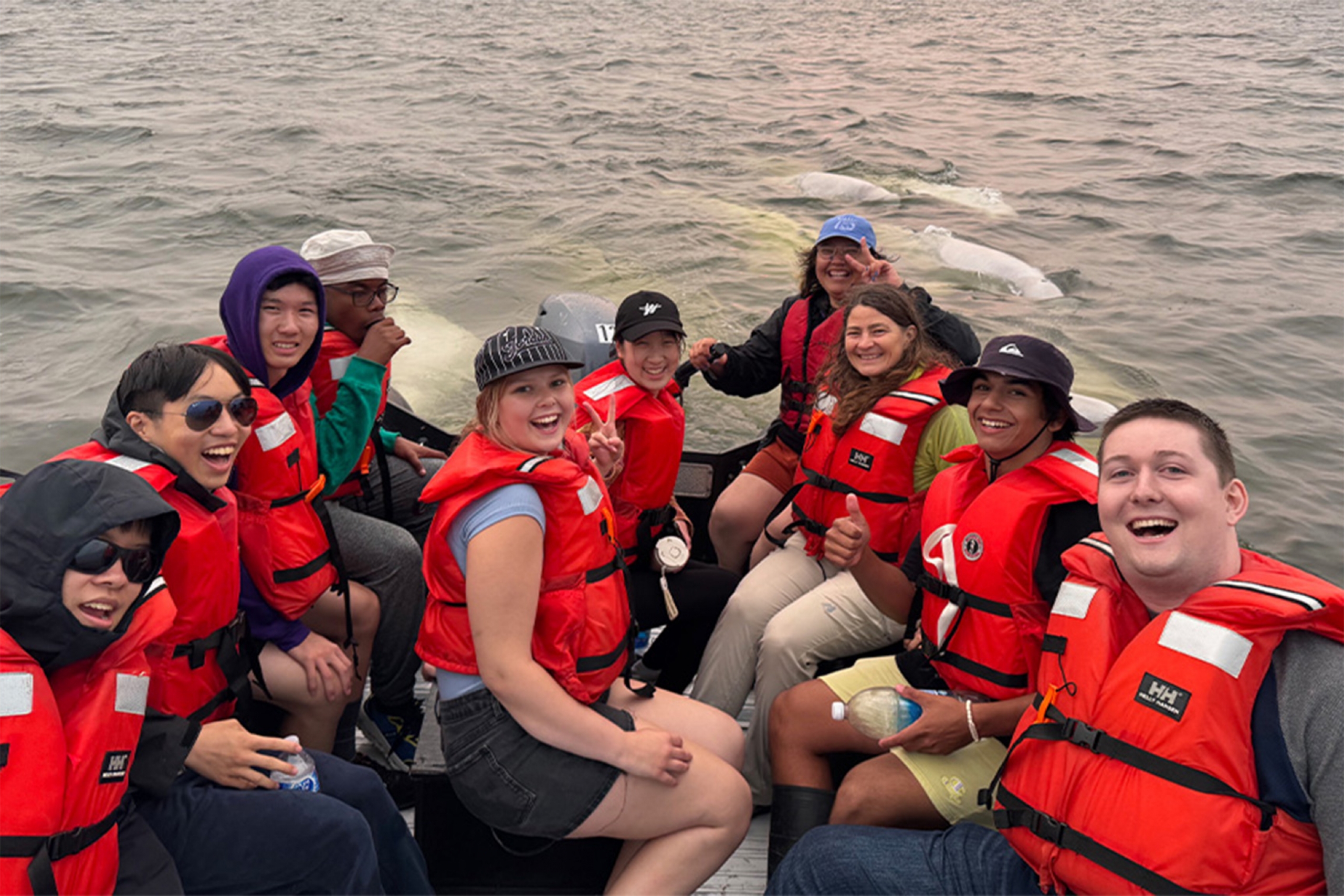 Participants of the SHAD 2025 with whales.