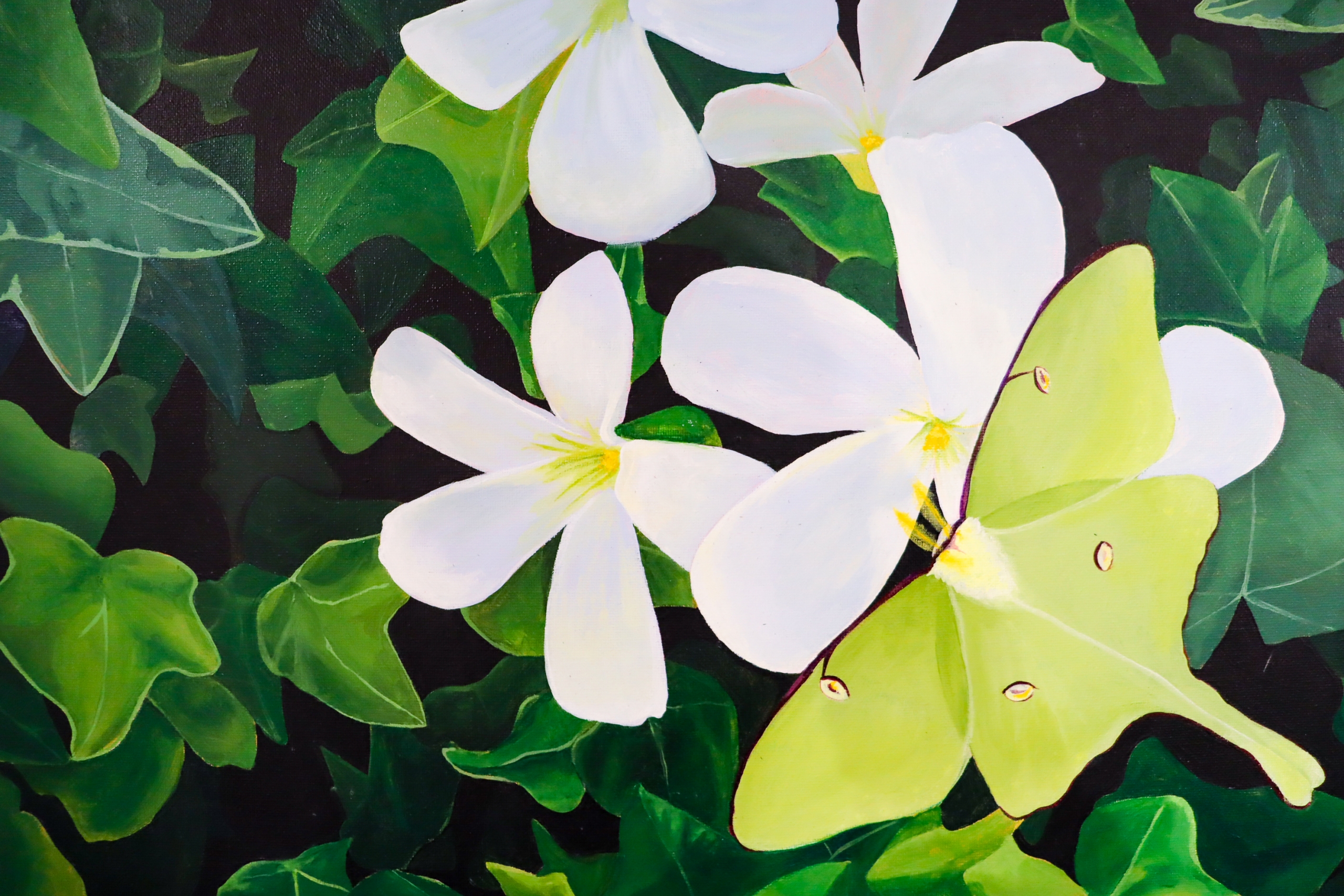 Detail of a painting depicting a luna moth resting on white gardenia blossoms against dark foliage.