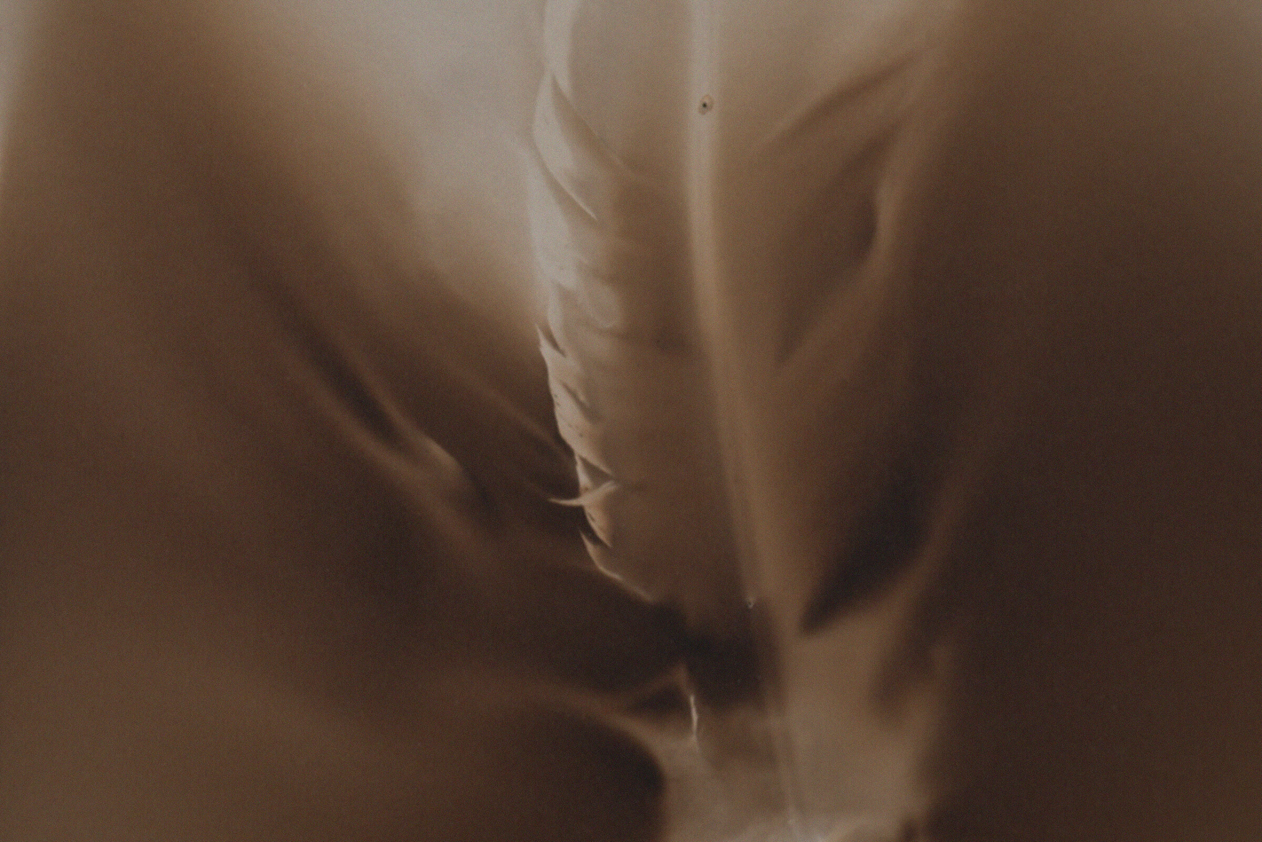 A feather partially burned, through smoke