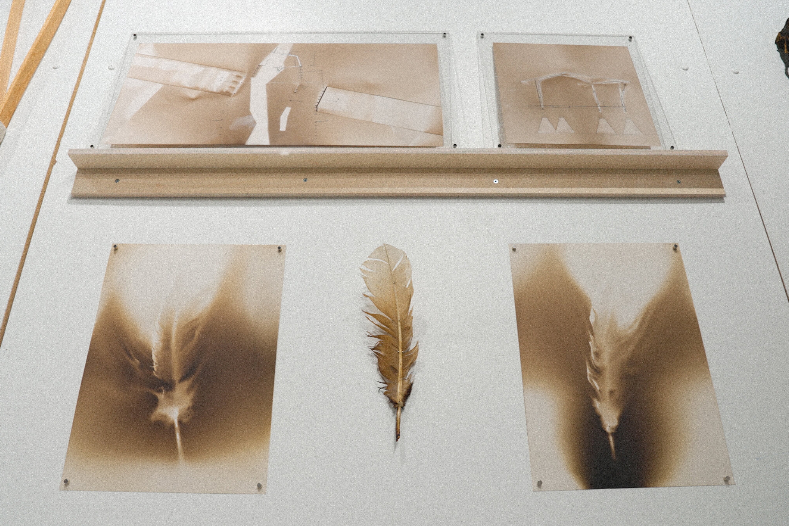 a workbench surface with a partially burned feather and photos of different stages of burn