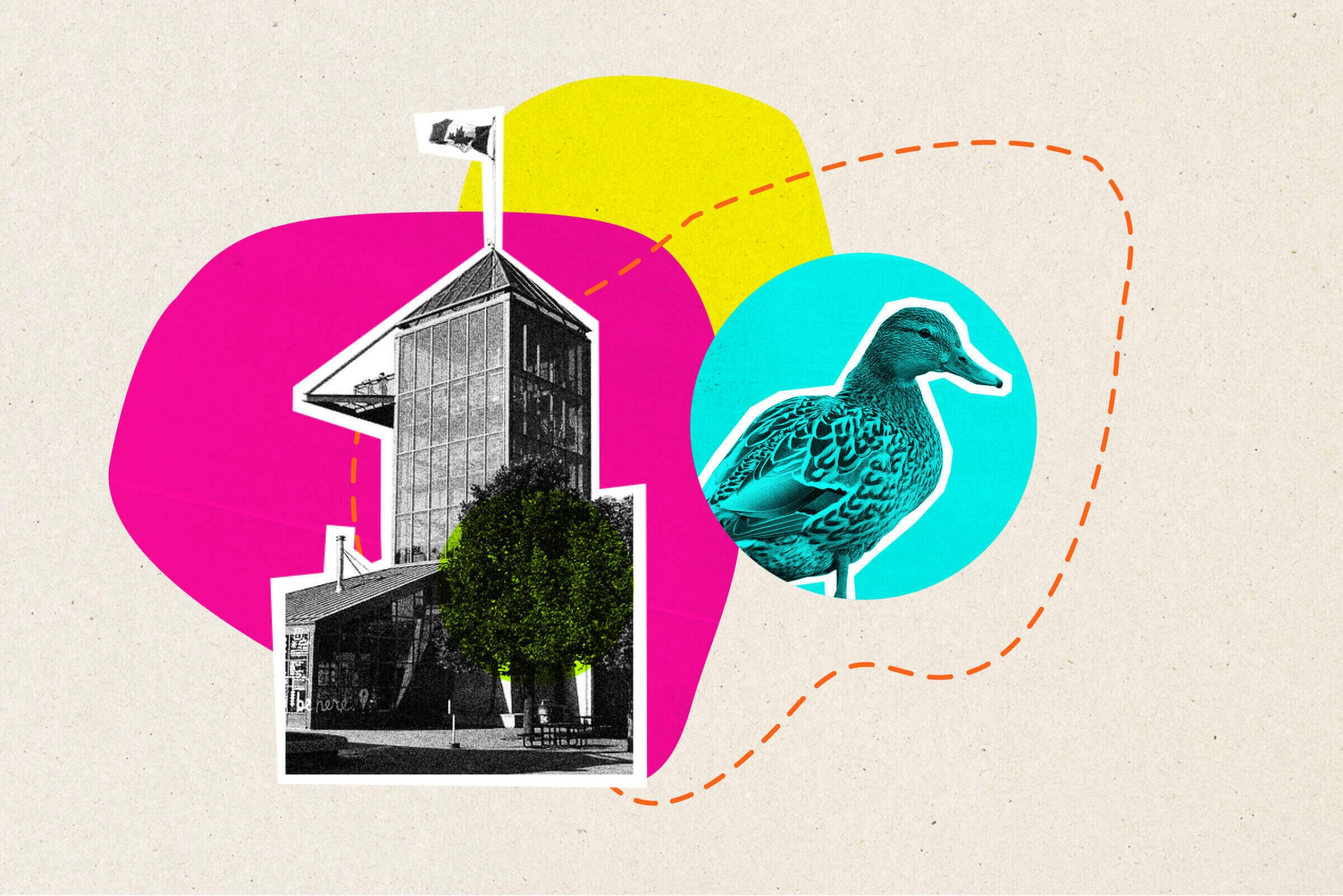 A collage of a building from the Forks, and a wood duck with colourful shapes in the background