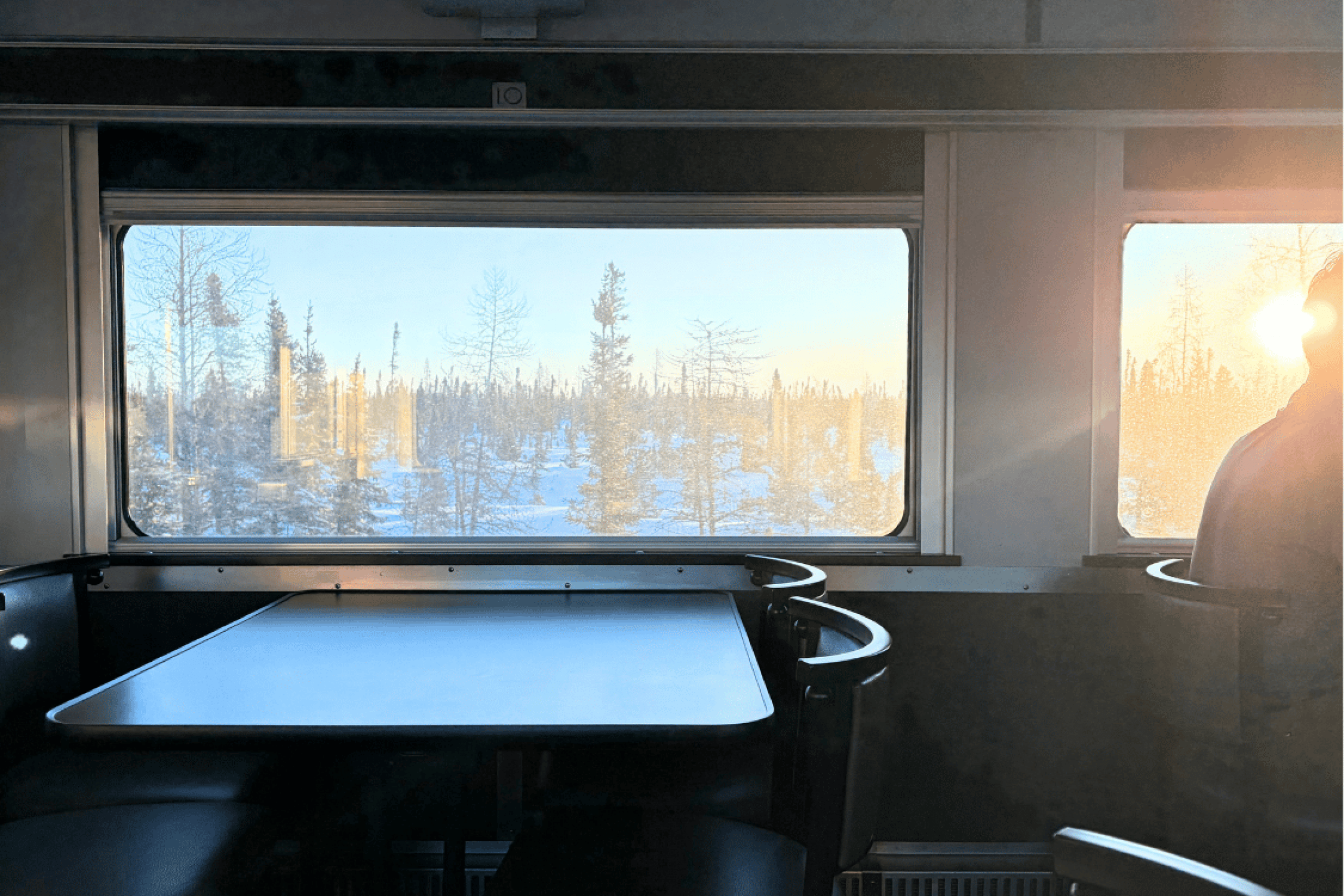 10. Winter landscape viewed from a train window during travel to a northern community.